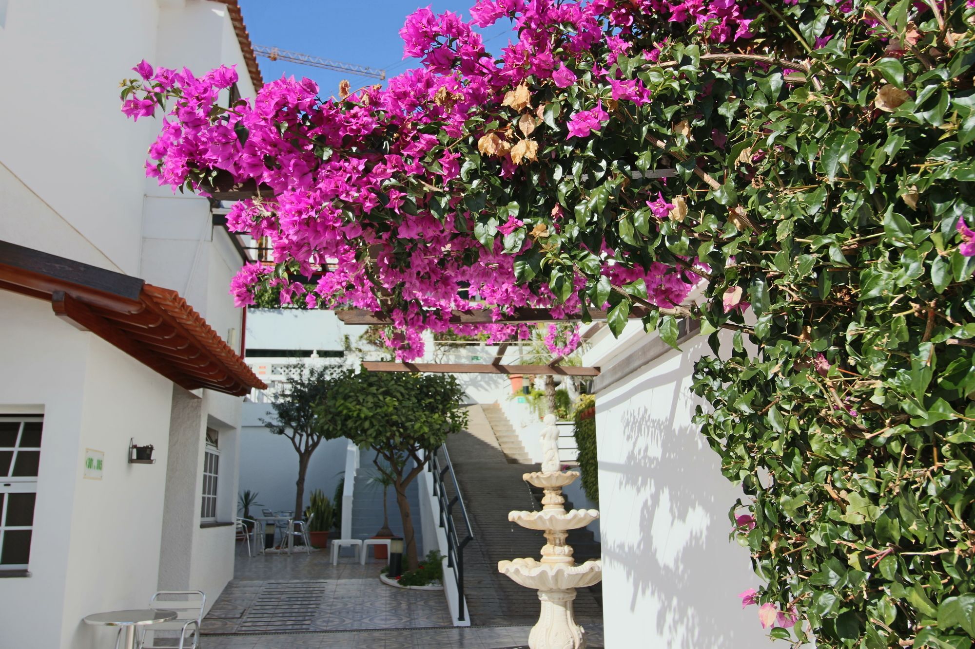 Guesthouse Vila Lusitania 푼샬 외부 사진